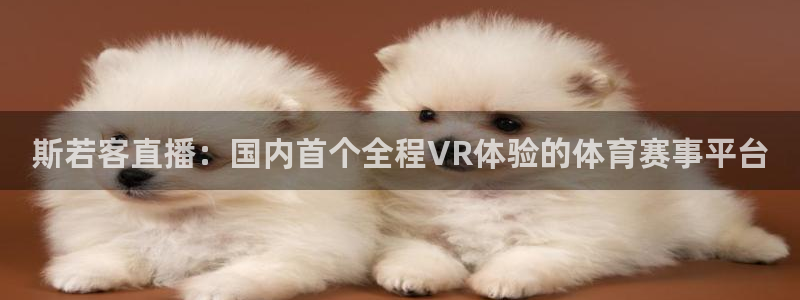 斯若客直播：国内首个全程VR体验的体育赛事平台