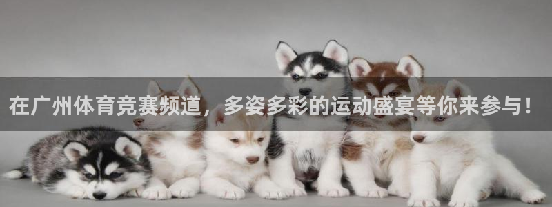 在广州体育竞赛频道，多姿多彩的运动盛宴等你来参与！