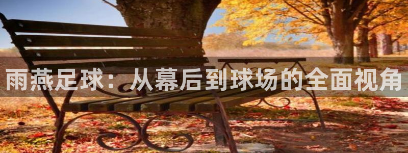 雨燕足球：从幕后到球场的全面视角