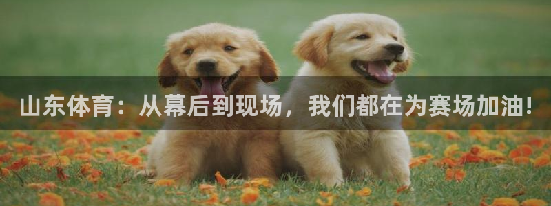 山东体育：从幕后到现场，我们都在为赛场加油!
