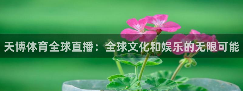 天博体育全球直播：全球文化和娱乐的无限可能