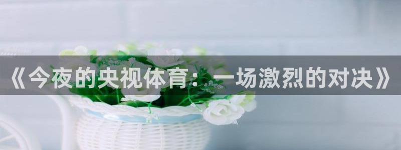 《今夜的央视体育：一场激烈的对决》