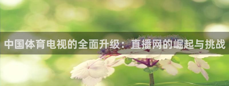 中国体育电视的全面升级：直播网的崛起与挑战
