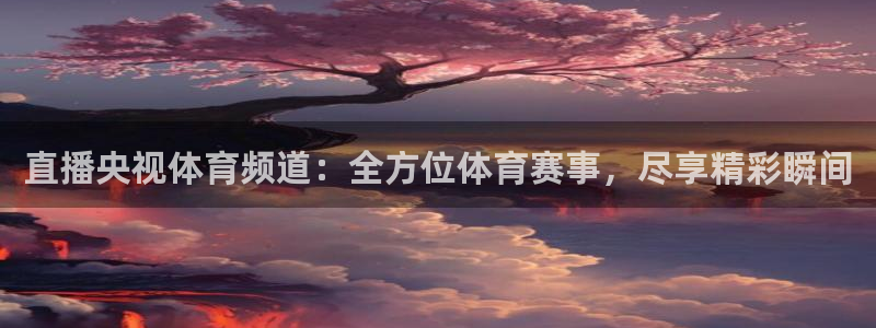 直播央视体育频道：全方位体育赛事，尽享精彩瞬间