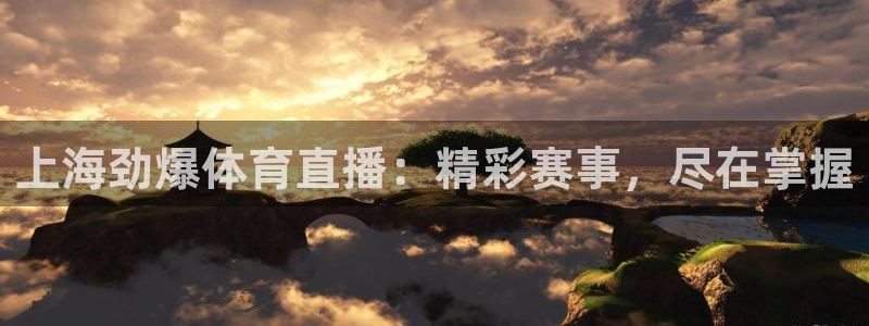 上海劲爆体育直播：精彩赛事，尽在掌握