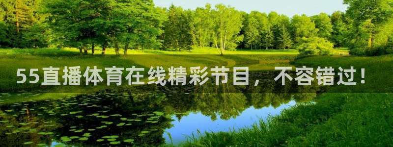 55直播体育在线精彩节目，不容错过！