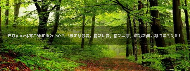 在以pptv体育足球直播为中心的世界足球联赛，精彩比赛，精彩故事，精彩新闻，期待您的关注！