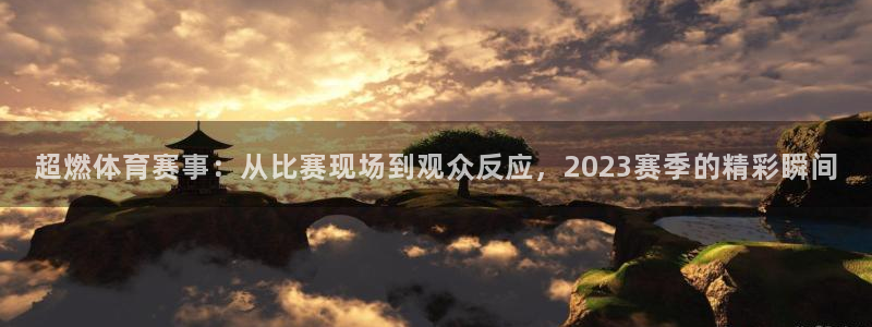 超燃体育赛事：从比赛现场到观众反应，2023赛季的精彩瞬间