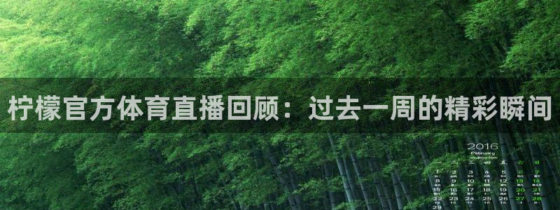 柠檬官方体育直播回顾：过去一周的精彩瞬间