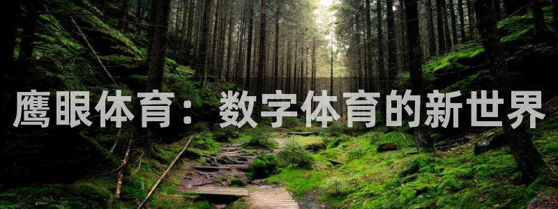 鹰眼体育：数字体育的新世界