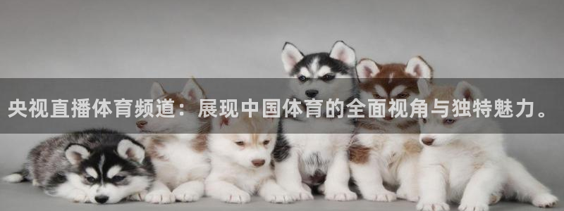 央视直播体育频道：展现中国体育的全面视角与独特魅力。