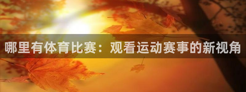 哪里有体育比赛：观看运动赛事的新视角