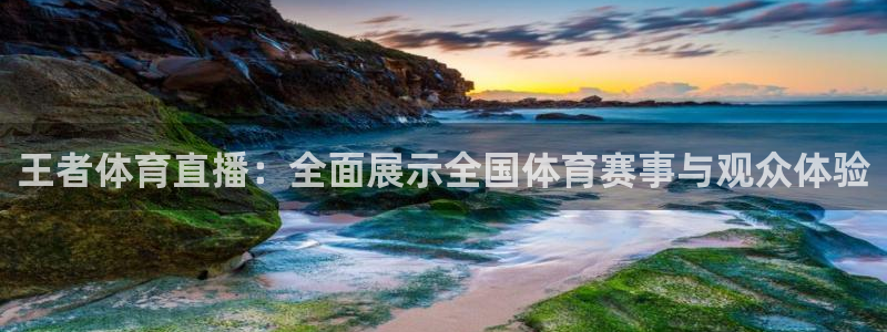 王者体育直播：全面展示全国体育赛事与观众体验