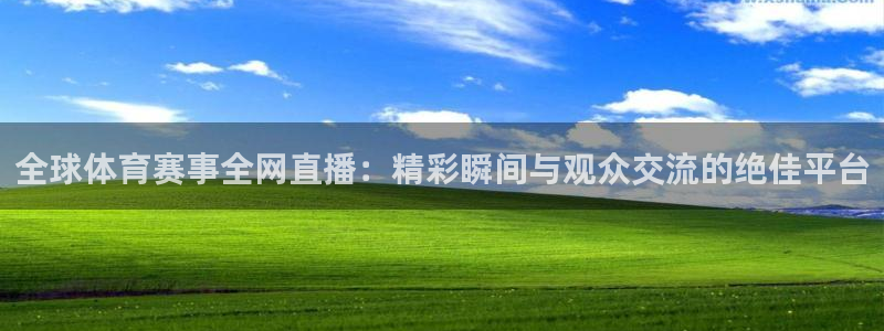 全球体育赛事全网直播：精彩瞬间与观众交流的绝佳平台