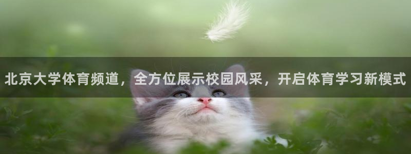 北京大学体育频道，全方位展示校园风采，开启体育学习新模式