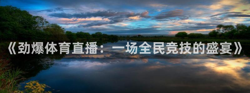 《劲爆体育直播：一场全民竞技的盛宴》