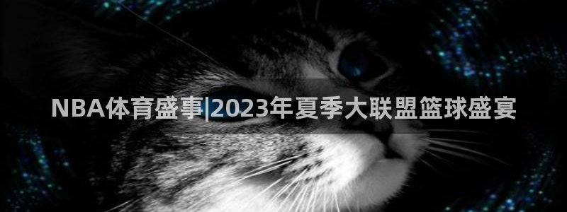 NBA体育盛事|2023年夏季大联盟篮球盛宴