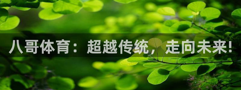 八哥体育：超越传统，走向未来!