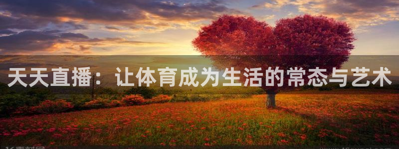 天天直播：让体育成为生活的常态与艺术