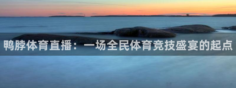 鸭脖体育直播：一场全民体育竞技盛宴的起点