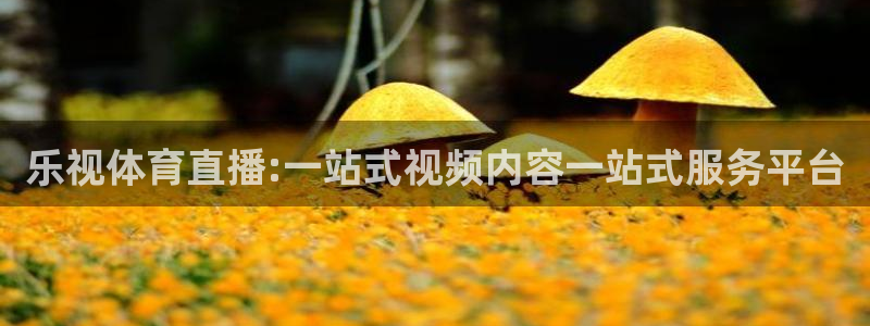 乐视体育直播:一站式视频内容一站式服务平台