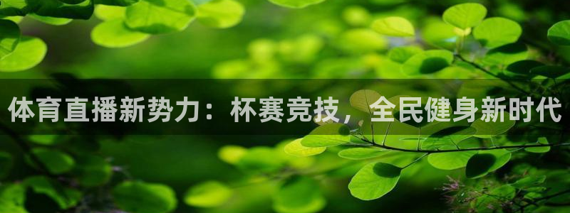 体育直播新势力：杯赛竞技，全民健身新时代