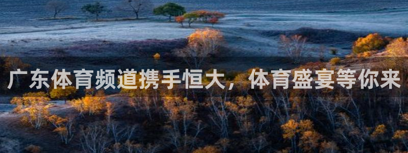 广东体育频道携手恒大，体育盛宴等你来