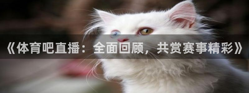 《体育吧直播：全面回顾，共赏赛事精彩》