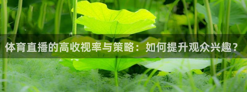 体育直播的高收视率与策略：如何提升观众兴趣？