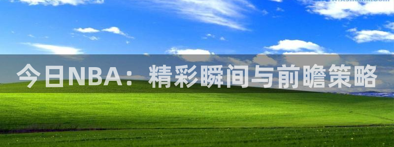 今日NBA：精彩瞬间与前瞻策略