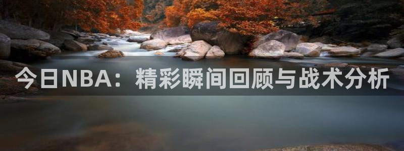 今日NBA：精彩瞬间回顾与战术分析