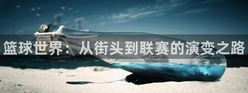 篮球世界：从街头到联赛的演变之路